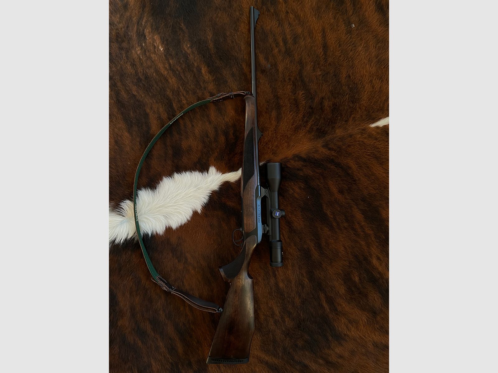 Sauer 202 | Kal. .30-06 | Zeiss Diavari 2,5-10x50 (Leuchtpunkt)