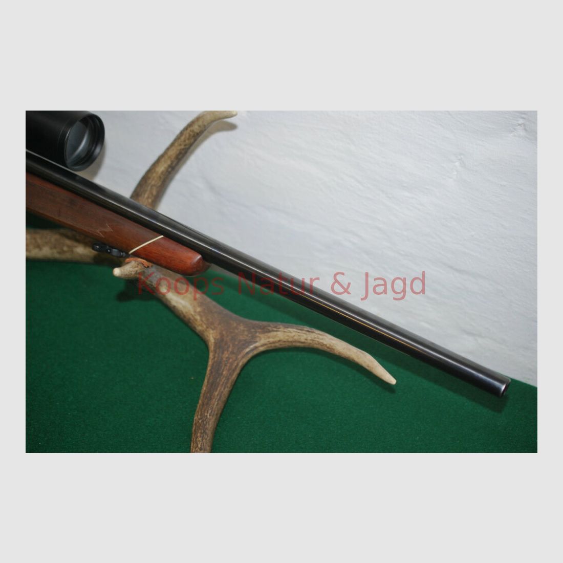Tikka M 55