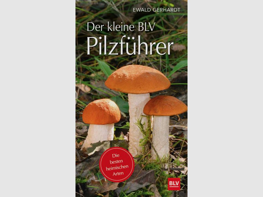 Gräfe & Unzer Der kleine BLV Pilzführer Ewald Gerhardt