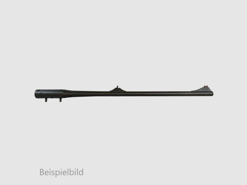 Blaser WL R8 10.3x60R without sight interchangeable barrels