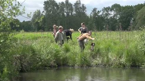 Wasserarbeit für den Jagdgebrauchshund