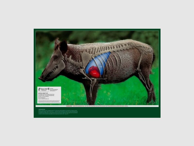 5etta Direkttreffer Wildschwein 4er Pack inkl. Abdeckungen.