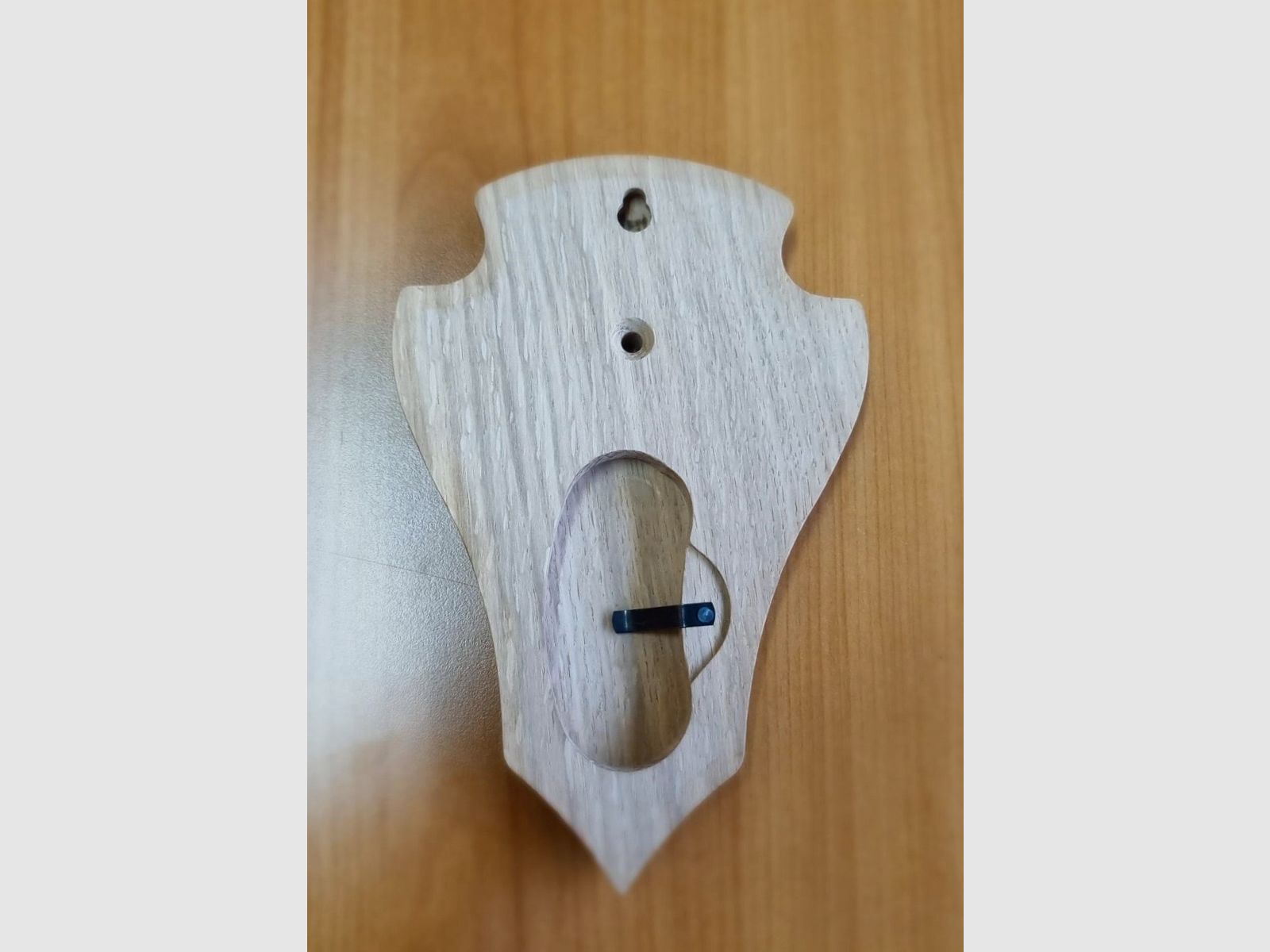 Massives Eichenschild für Rehbock – Spitz – 19 x 12 cm