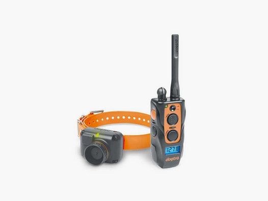 Collare Educativo e beeper Dogtra 2600 T&B