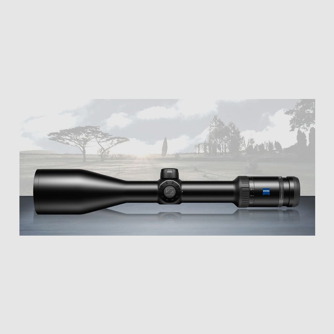 Zeiss	 Victory HT 3-12x56