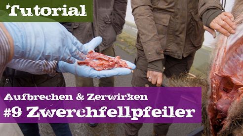 #9 Zwerchfellpfeiler für Trichinenuntersuchung - Schwarzwild - Lehrgang Aufbrechen & Zerwirken