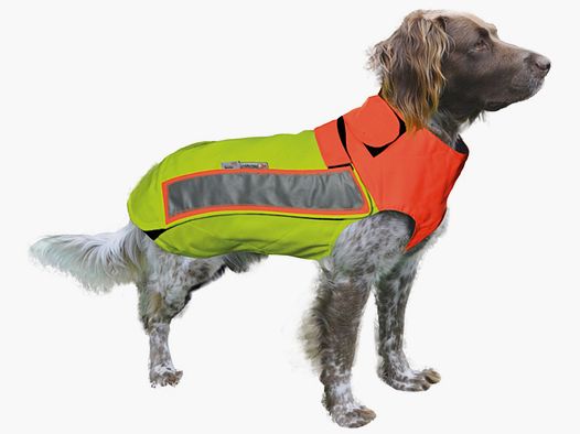 Gilet de protection pour chien Hubertus - orange, résistant aux déchirures et aux épines
