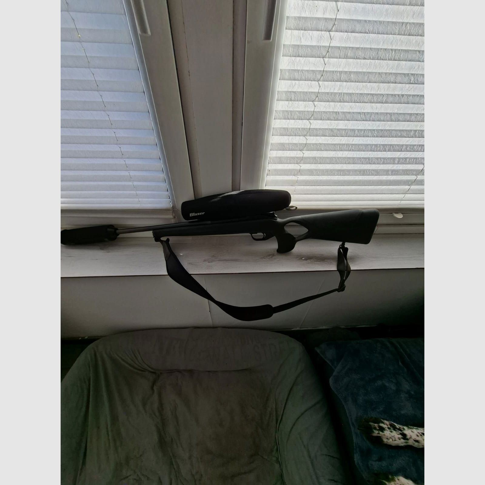 Blaser R8 professional success