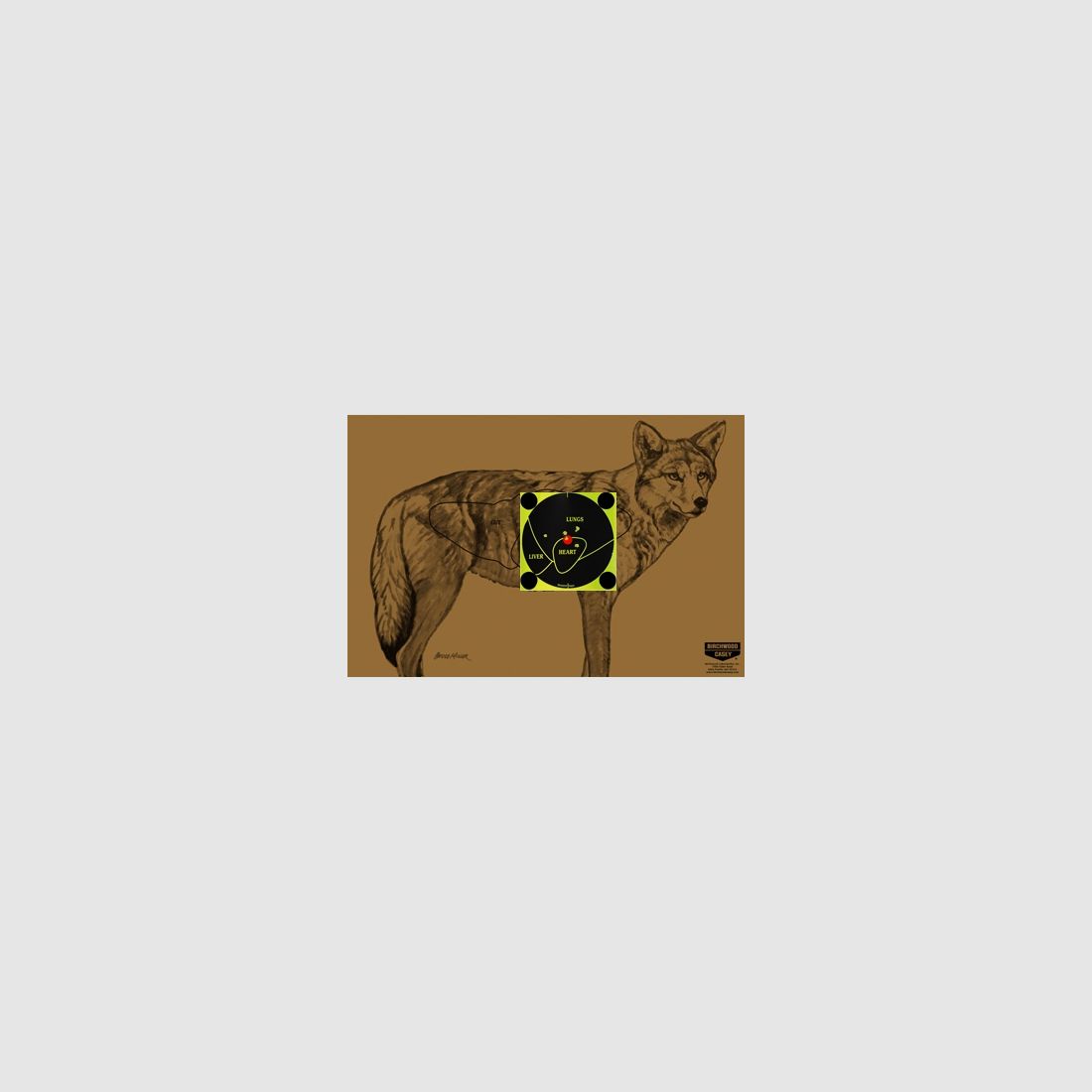 Doelset Coyote