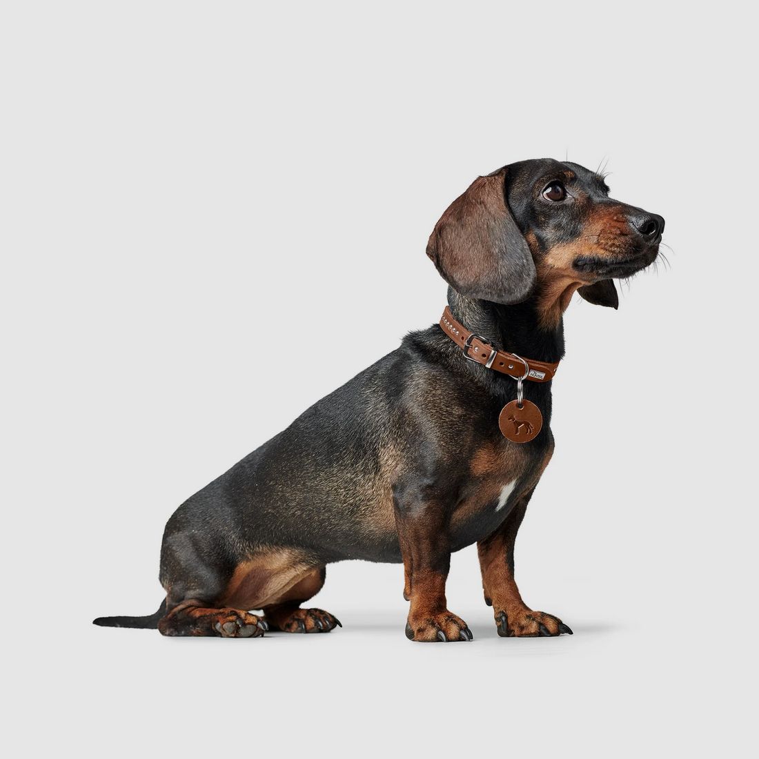 Hunter Halsband Aalborg STYLE