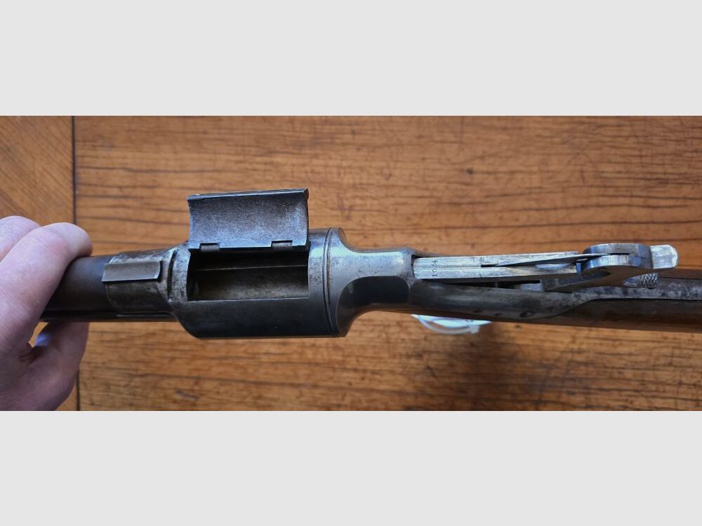 Roper Mod.1866