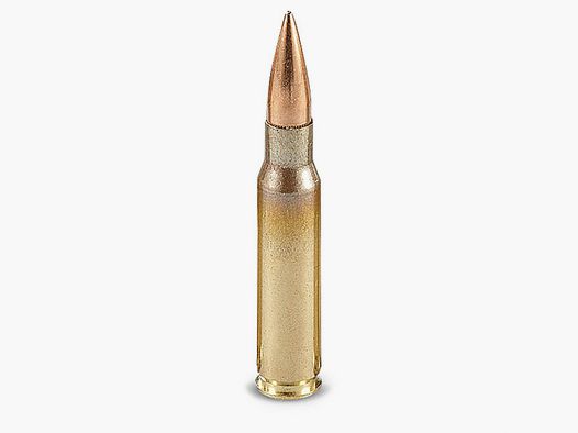 7.62X51 FMJ 9.46g / 146 grs 40cps
