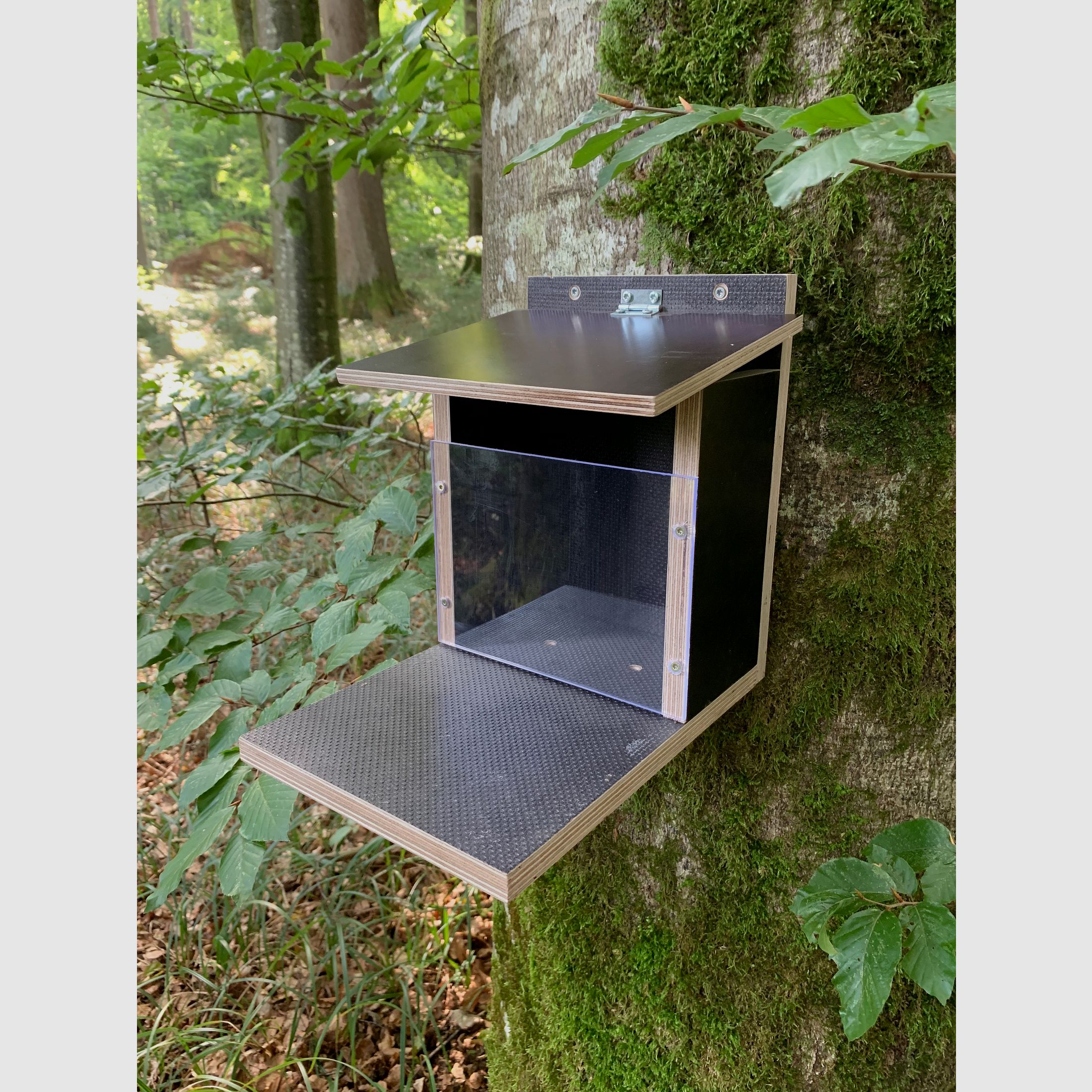 Eichhörnchenfutterautomat