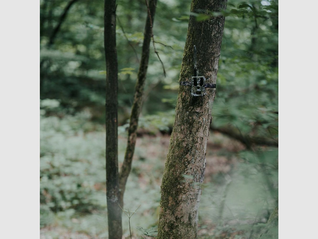 MODERNHUNTER Hunter 4G Mini Wildcamera