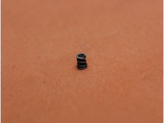 DPMS AR-15: Extractor Spring Assembly DPMS Auszieherfeder mit Puffer