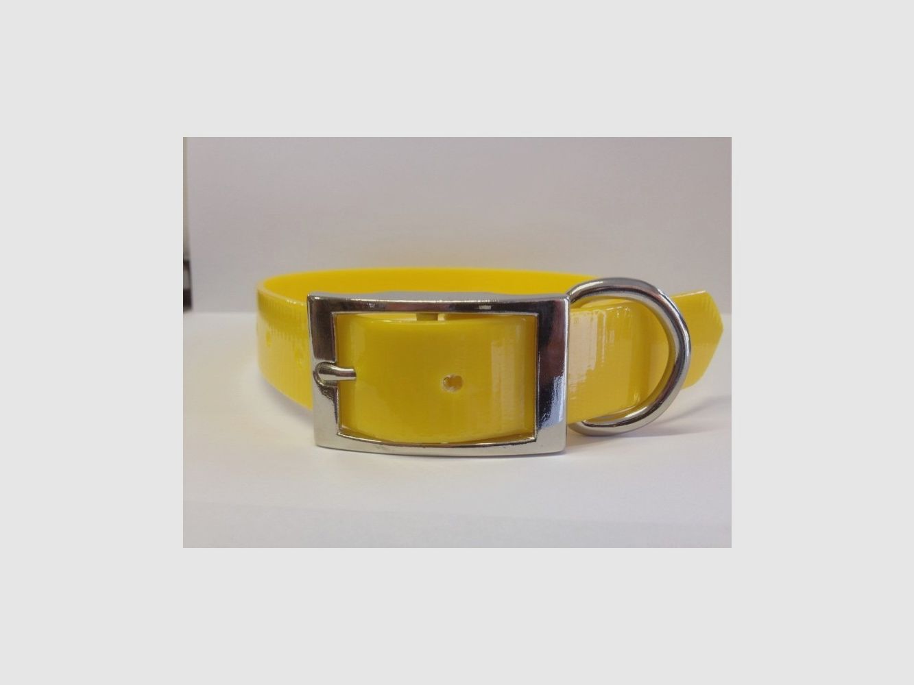 COLLIER POUR CHIEN BIOTHANE 1,9x45cm HAUTE TENUE, image 3 sur 6