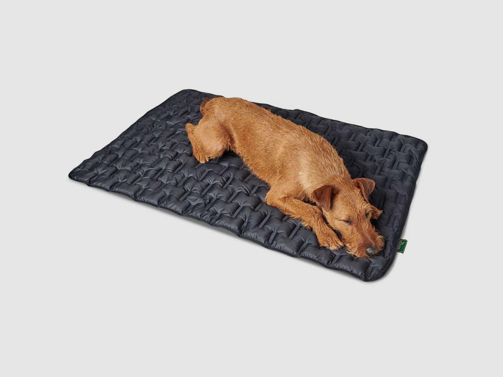 Hunter Koc dla psa Monaco