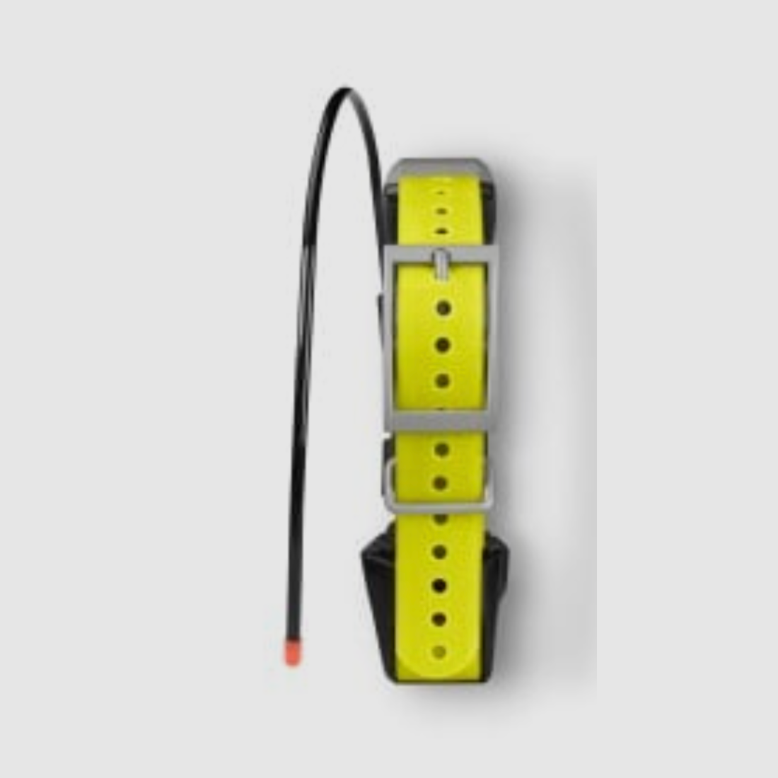 Garmin Alpha 10 K avec collier K5, image 8 sur 14
