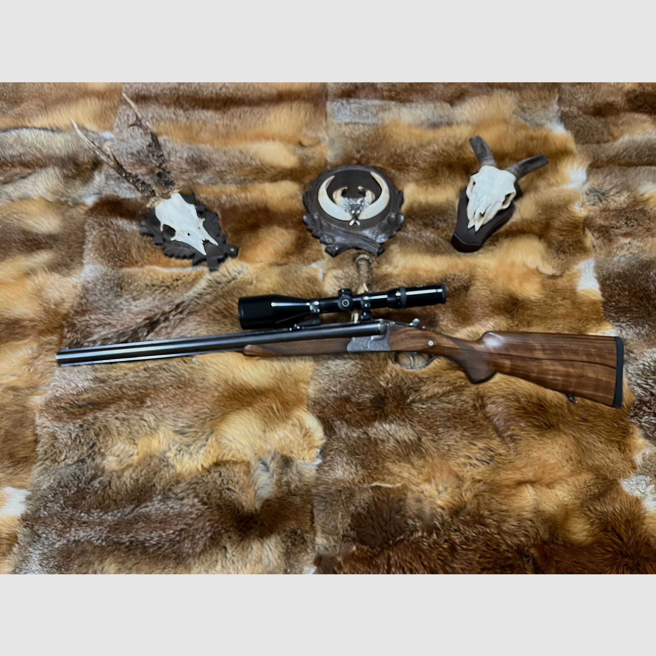 Krieghoff Waldschütz