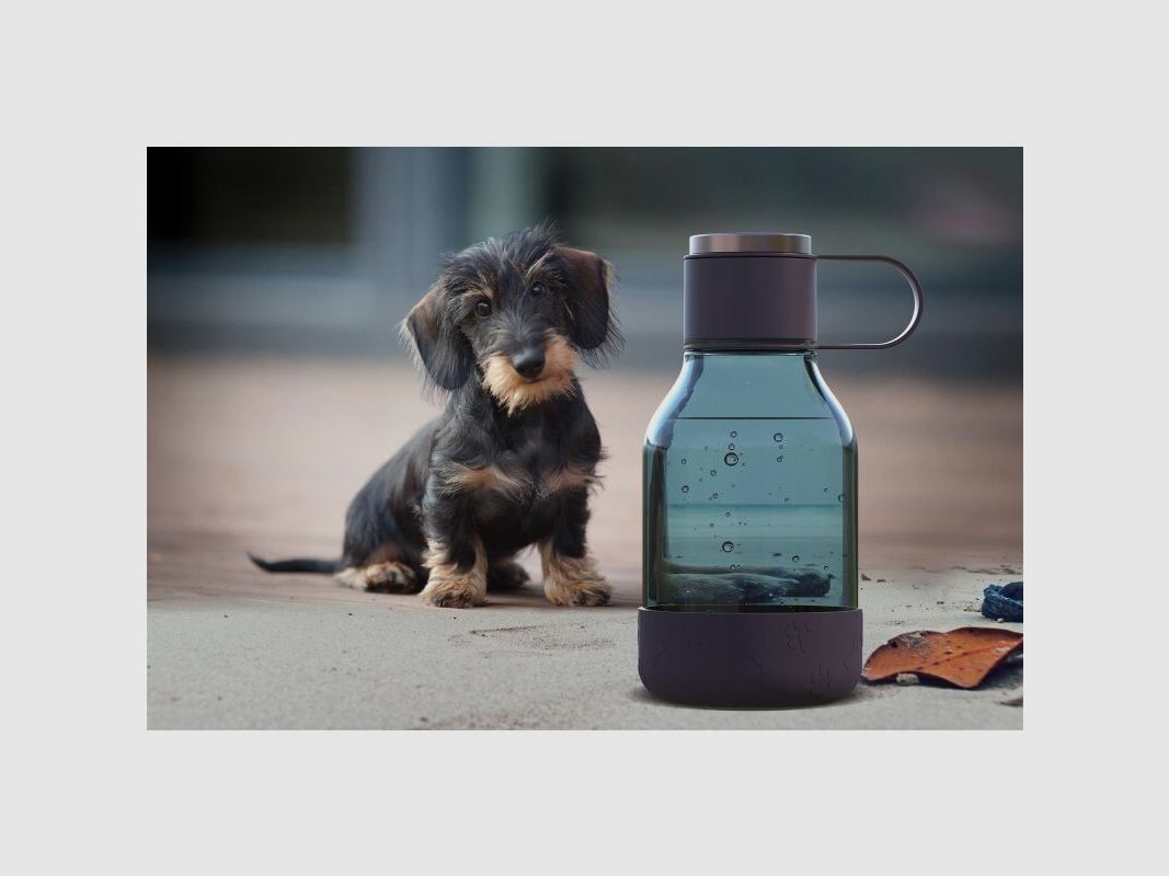 Asobu - Dog Bowl - Flasche aus Tritan mit Hundenapf 1,5 Liter Burgunderrot