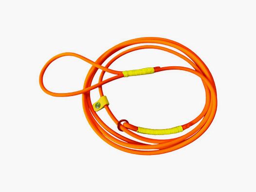 Laisse avec collier intégré