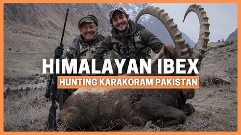 KARAKORAM MOUNTAIN HUNTING FOR HIMALAYAN IBEX 🔥 PAKISTAN 🔥