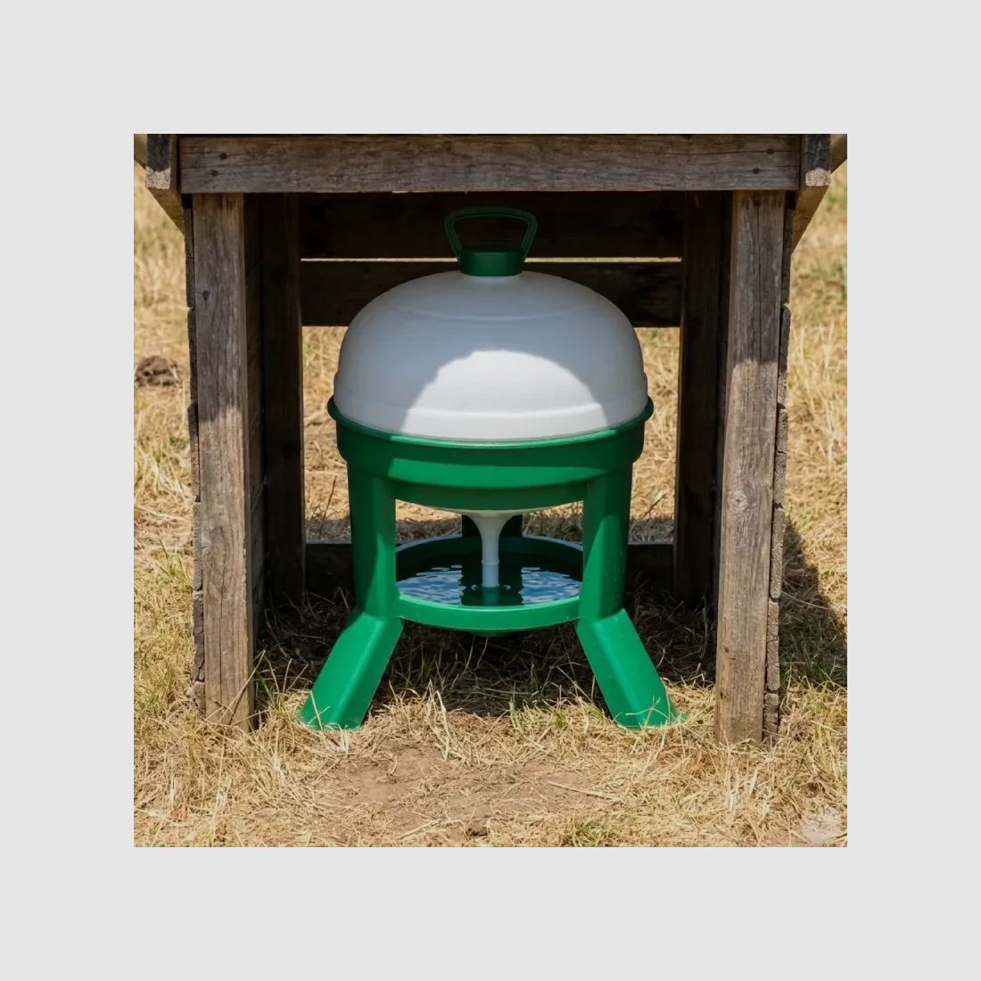 Abreuvoir à siphon sur pieds 20 Litres Gaun, image 1 sur 12