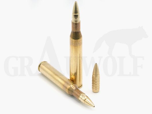 .270 Winchester 102 gr / 6,6 g GM Splinter Bleifrei Patronen 50 Stück