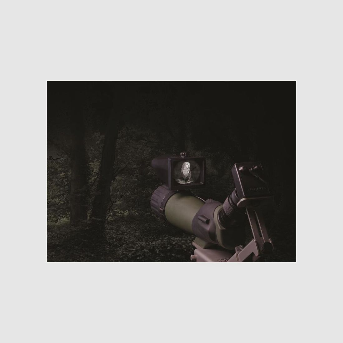 Nachtsichtgerät NiteSite WOLF Spotter XW 300m