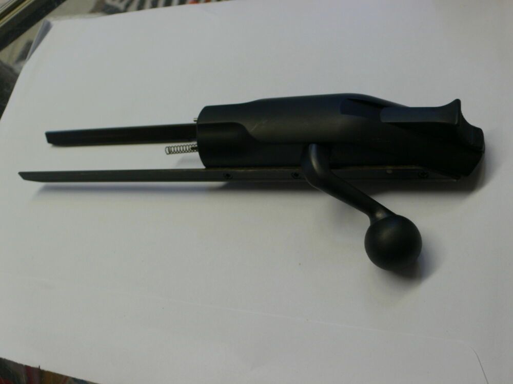 Blaser R8