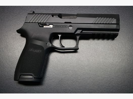 Sig Sauer P320 45ACP