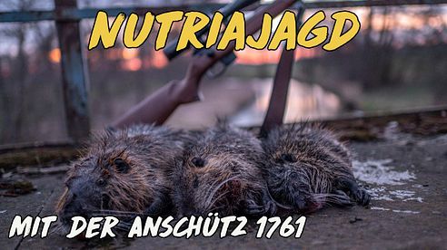 Geartester - Nutriajagd mit der Anschütz 1761 in .17HMR