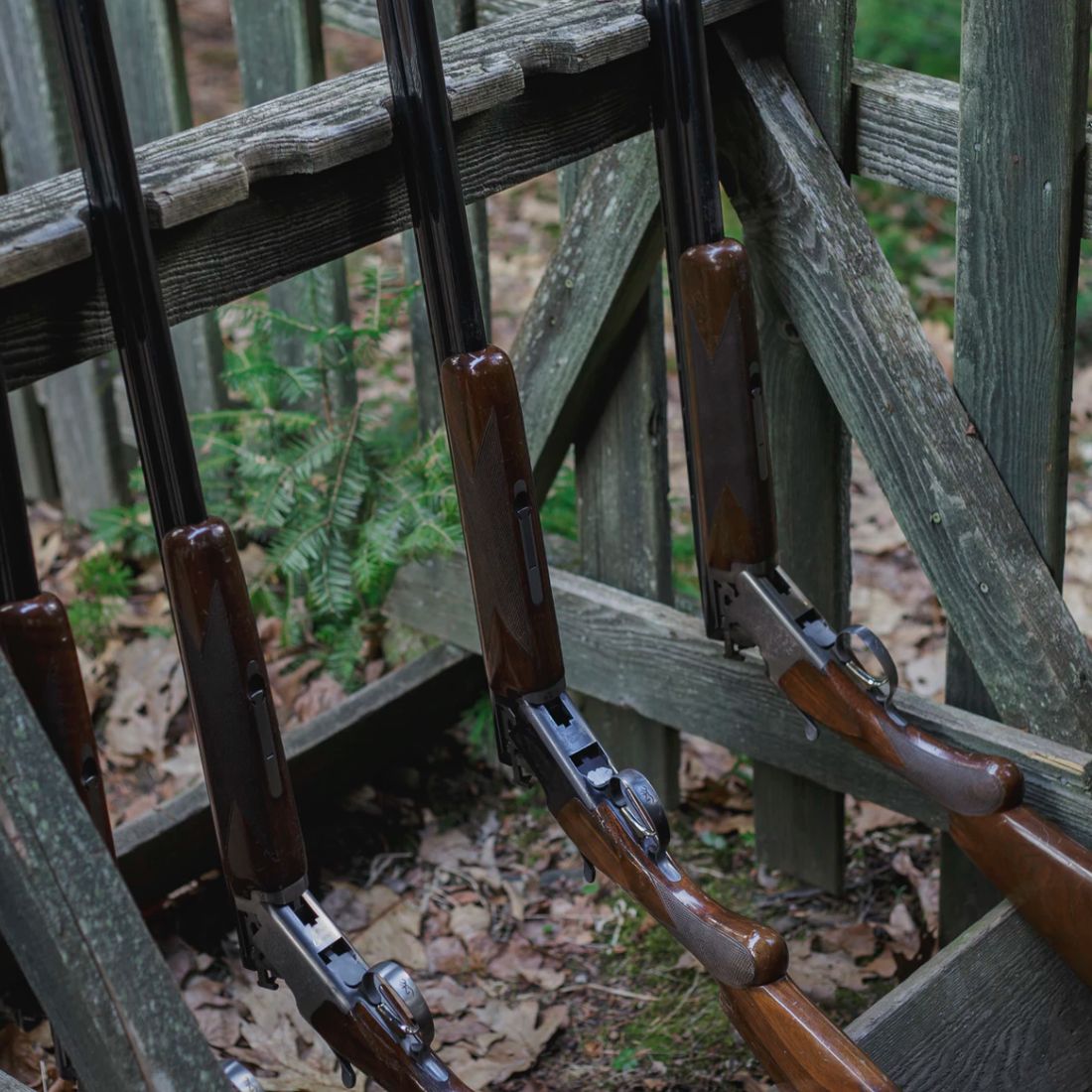 The Best Calibers for Young Hunters