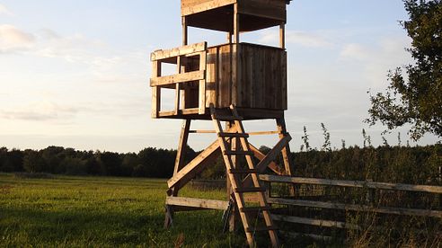 Försterkanzel - ein neuer Ausblick im Revier