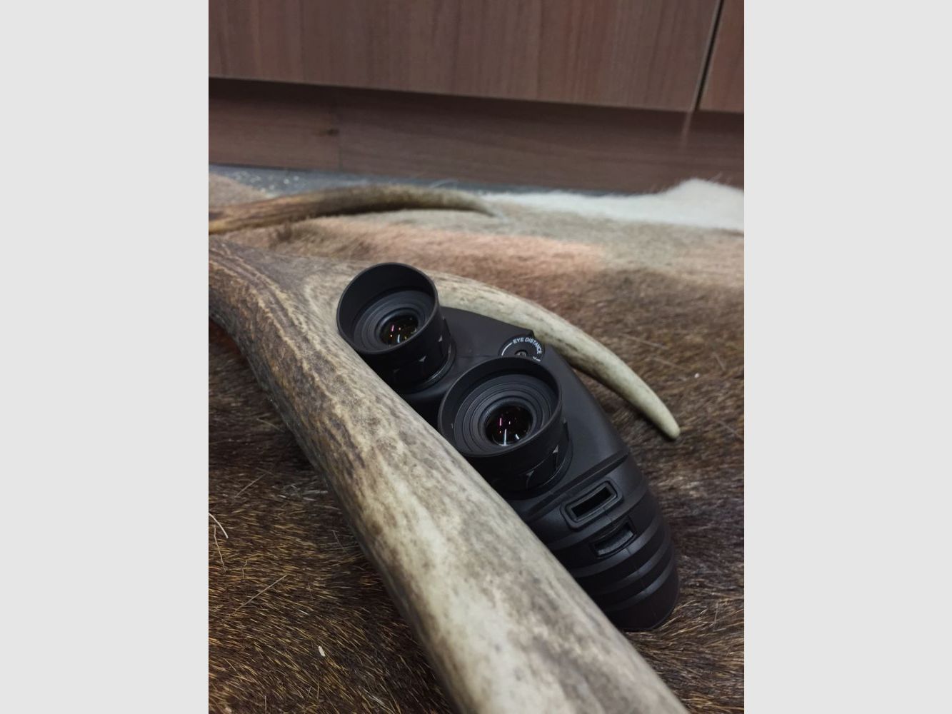 Steiner Safari 8x25 Ultrasharp