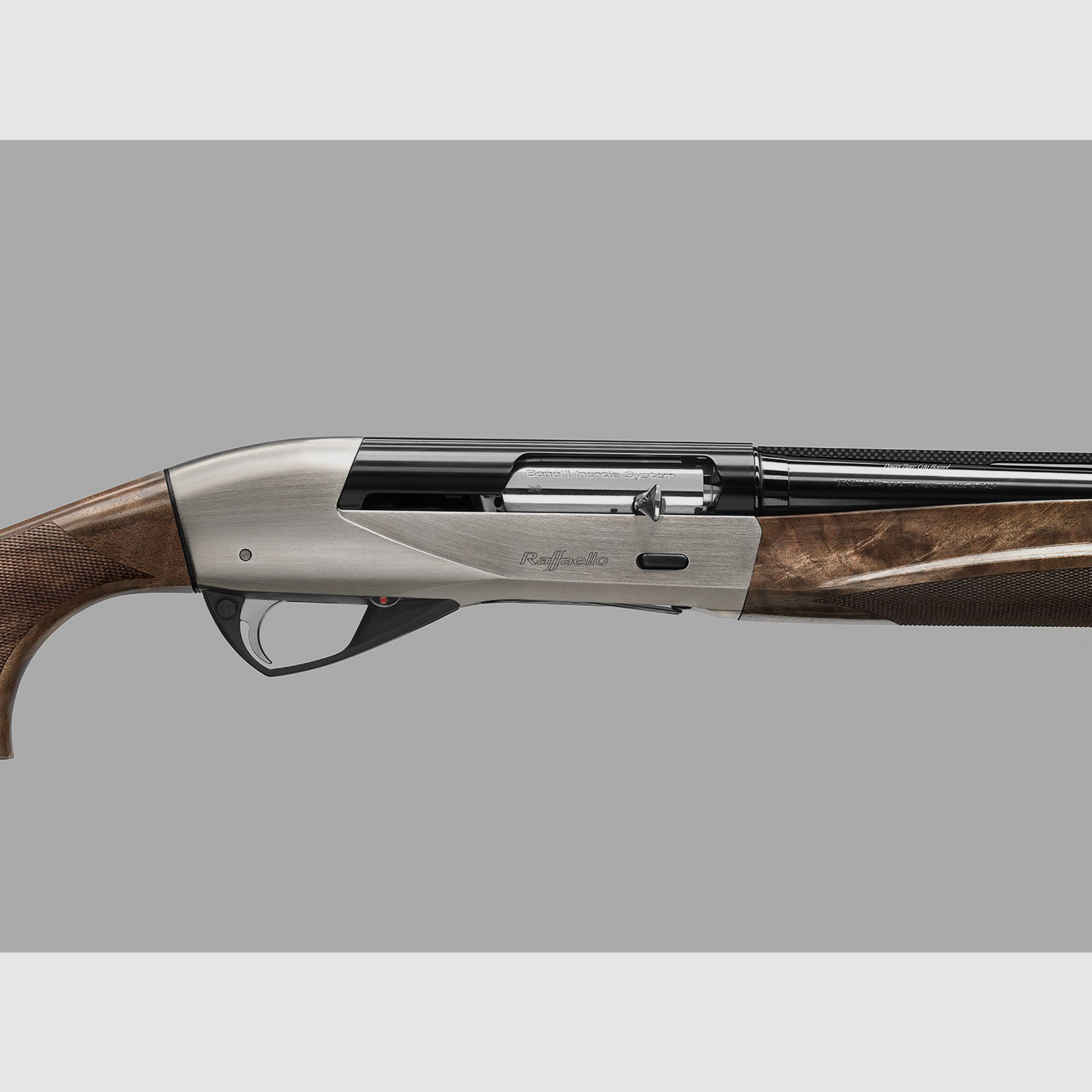 BENELLI Raffaello, immagine 5 di 6