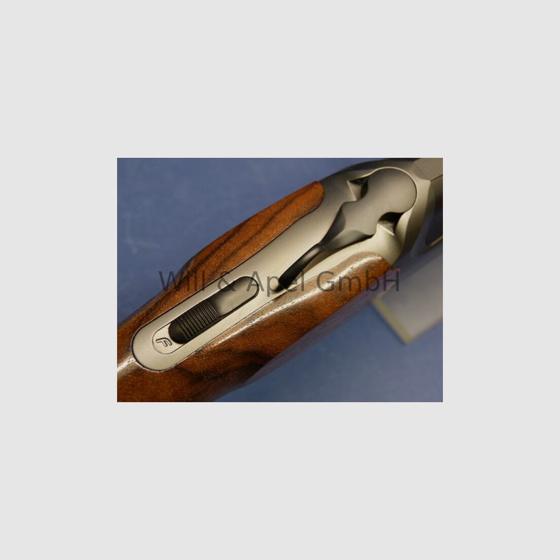 Blaser F16 Game INTUITION