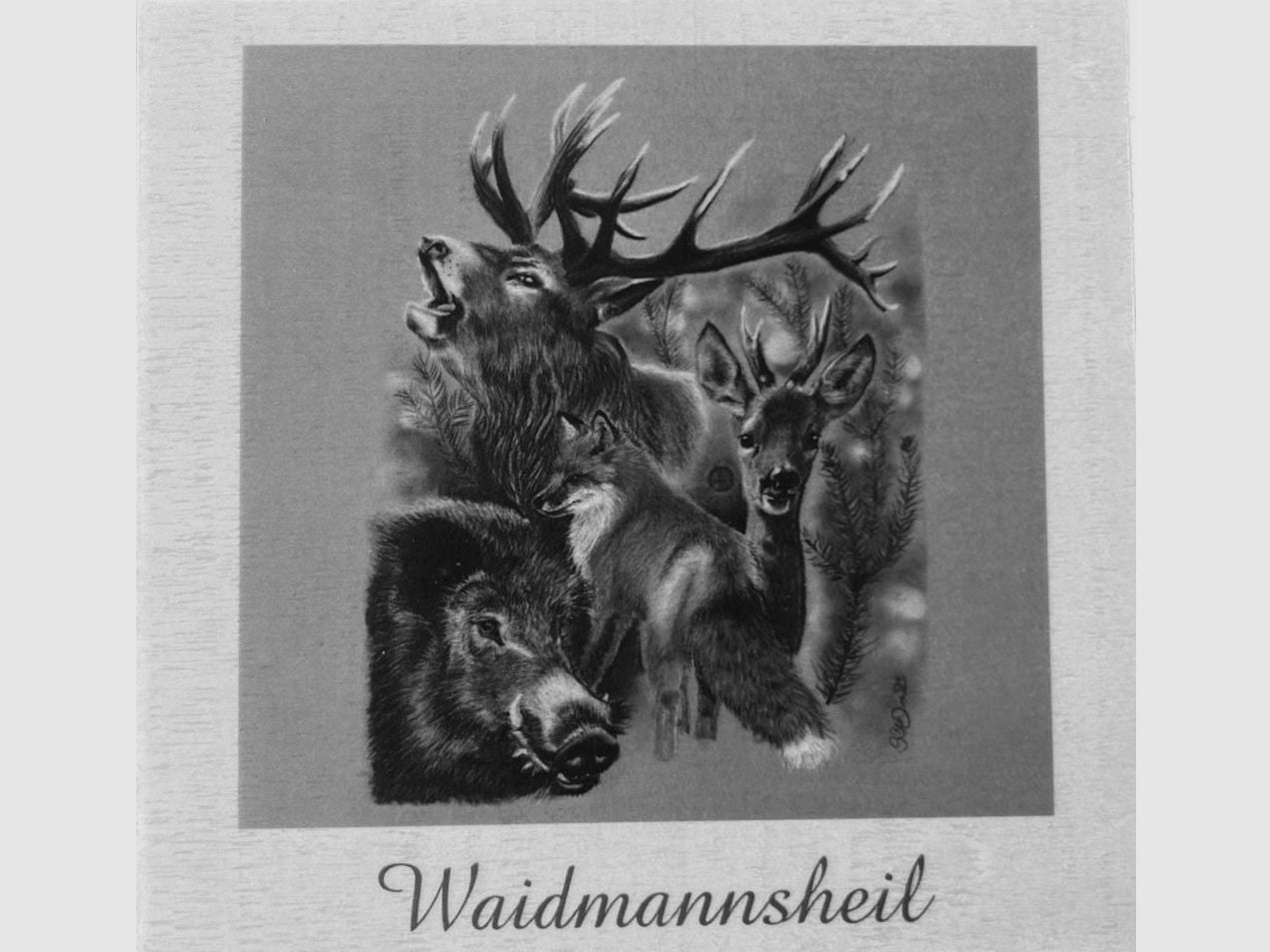 Dualoptik Geschenk Box Jagd