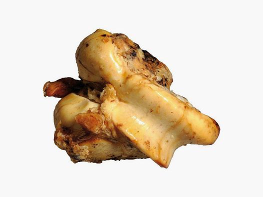 OS DE BOEUF BUBIMEX 600G