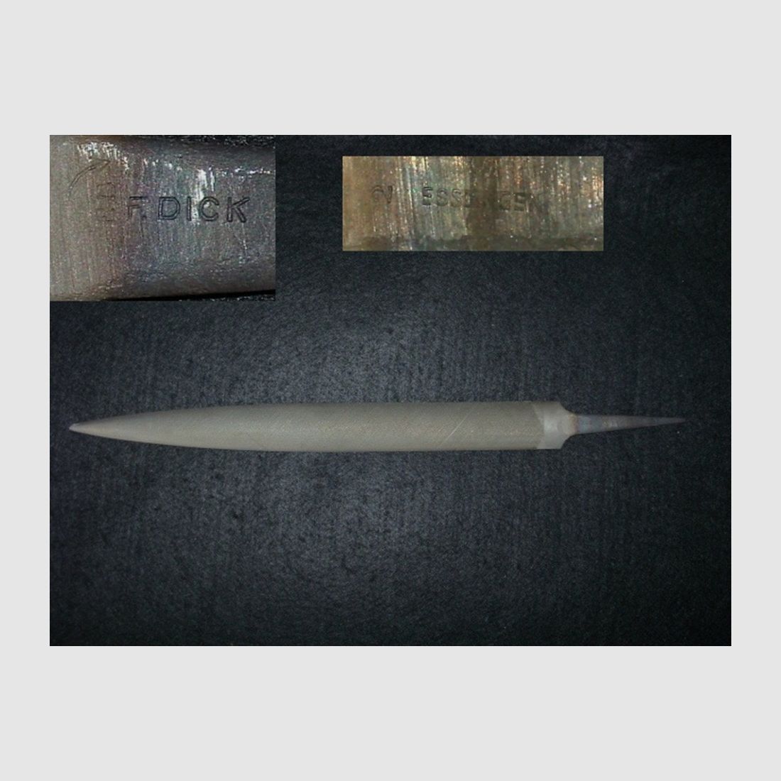 Vogelzungen file F.Dick cut 2