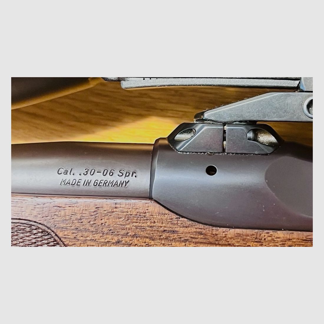 Sauer 202, système en acier, .30-06, avec paquet Swarovski ZF