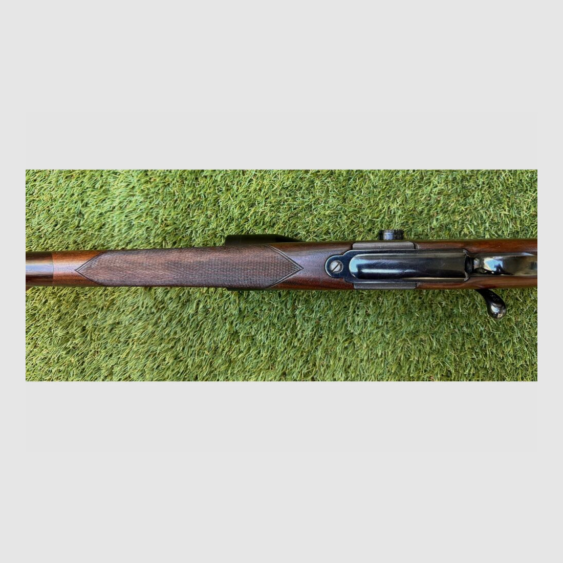 Steyr Mannlicher Luxus mit Zeiss 3-12x56 und Rotpunktvisier .308Win