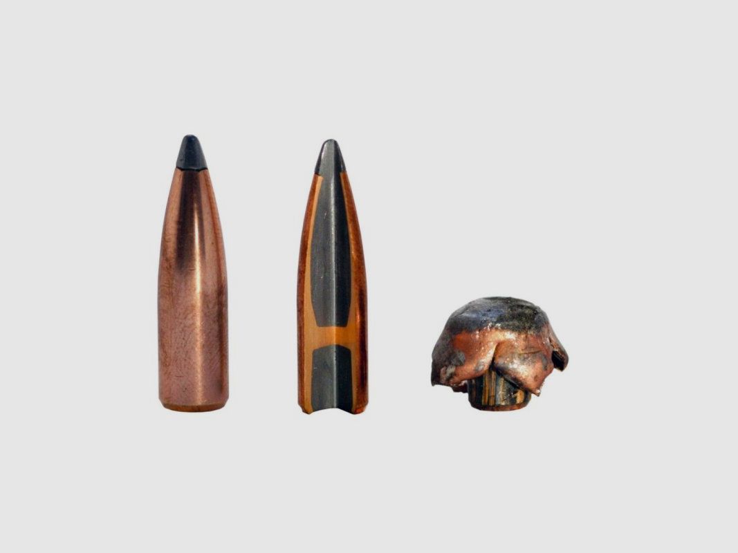 Federal Nosler Partition 180 gr – Kaliber .300 Win Mag, Bild 4 von 5