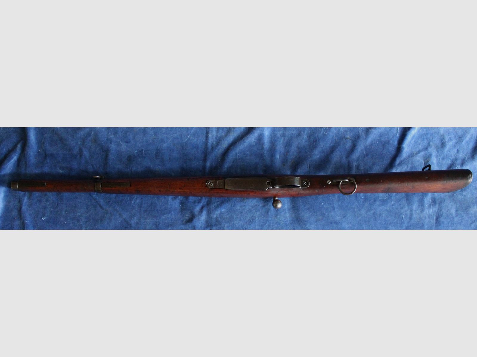 Carabina Mauser Oviedo 1895, immagine 14 di 17