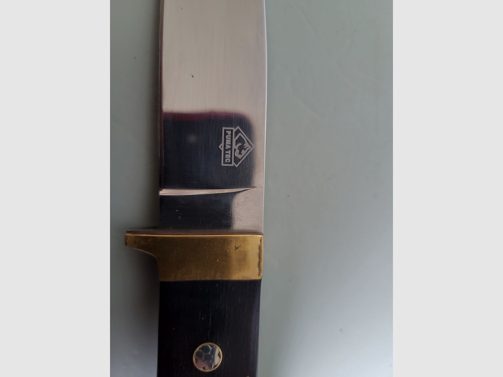 Puma hunting knife - folding knife