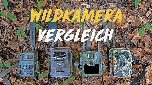 Wildkamera Vergleich - Seissiger, Secacam, ICUserver und Minox