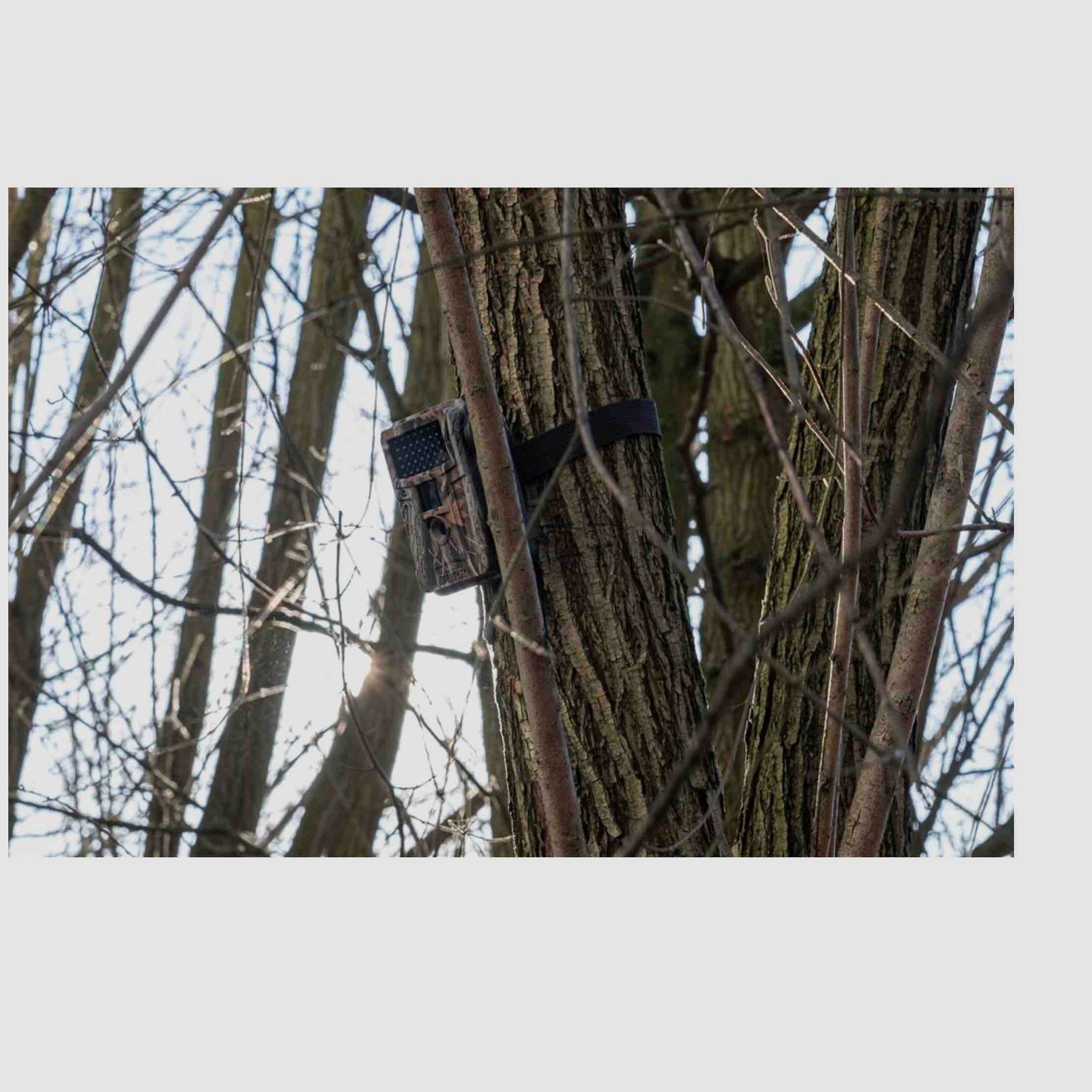 Dörr 204505 Wildkamera Fotofalle Snapshot Mini Black 12 MP HD Camouflage 40 Black LEDs