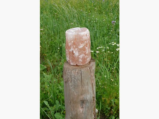 Leckstein aus Himalayasalz