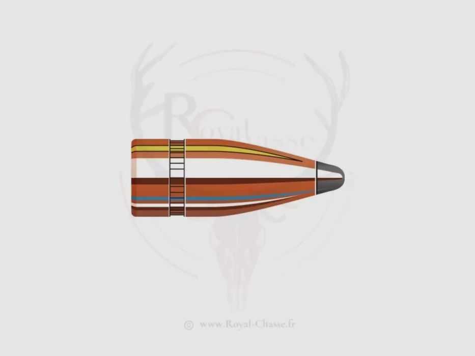 Karton mit 2800 Geschossen Kal.7.62 D.310 123Grs INTERLOCK SP HORNADY
