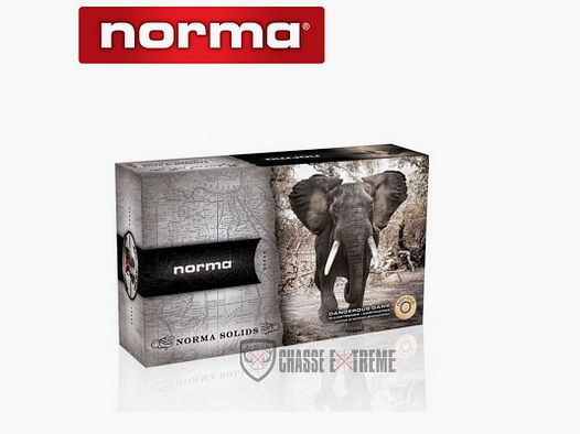 10 NORMA Solid Cartridges Cal 458 Lott 500gr